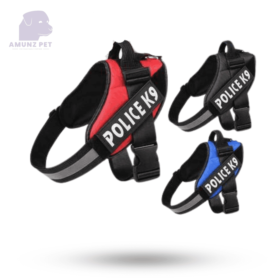 CAT & DOG HARNESS & COLLER\ CHAIN