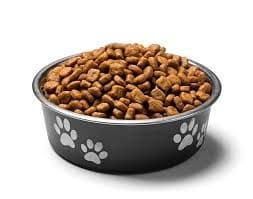 Dog Food